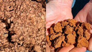 Каким должен быть фундамент на глине